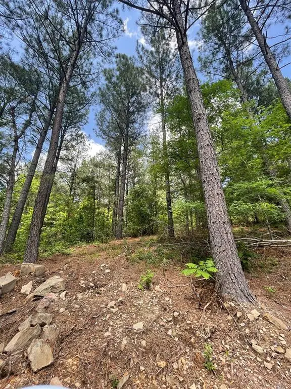 735 Timber Creek Trails South Xi, Broken Bow, OK 74728 - Image #3