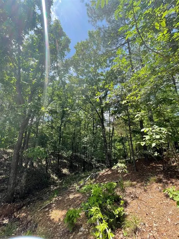 736 Timber Creek Trails South Xi, Broken Bow, OK 74728 - Image #2