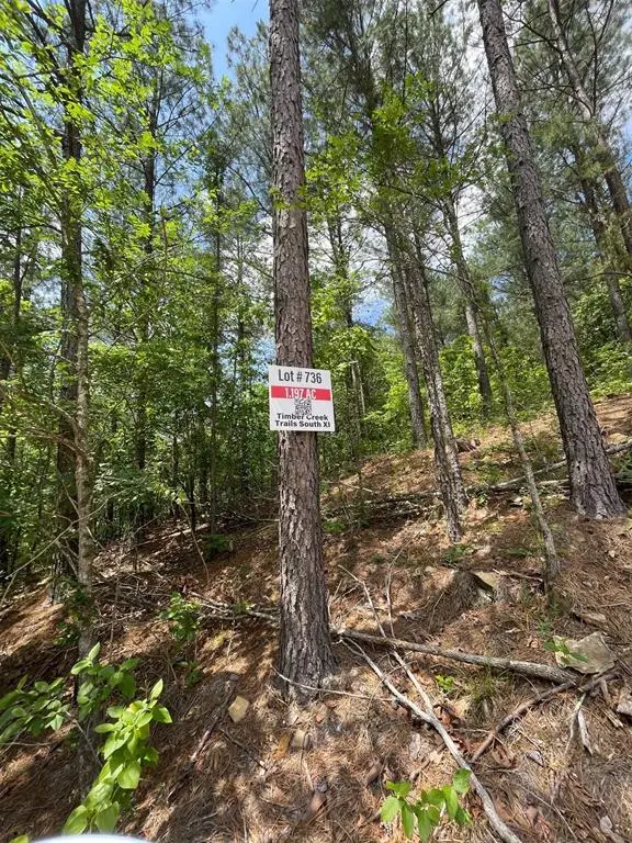 736 Timber Creek Trails South Xi, Broken Bow, OK 74728 - Image #3