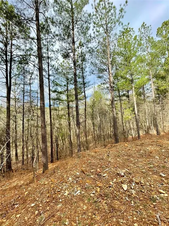 737 Timber Creek Trails South Xi, Broken Bow, OK 74728 - Image #2