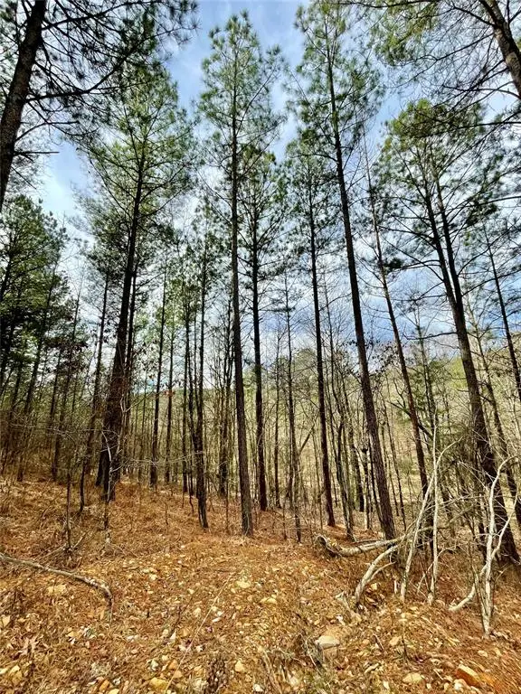 737 Timber Creek Trails South Xi, Broken Bow, OK 74728 - Image #3