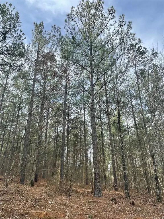 739 Timber Creek Trails South Xi, Broken Bow, OK 74728 - Image #2