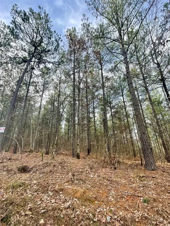 739 Timber Creek Trails South Xi, Broken Bow, OK 74728 - Image #3