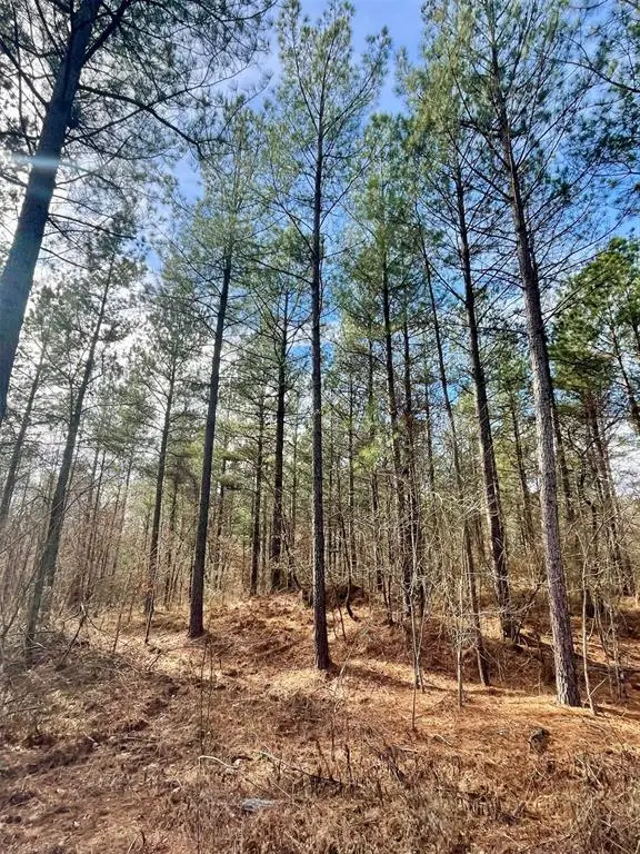 742 Timber Creek Trails South Xi, Broken Bow, OK 74728 - Image #3