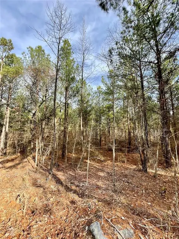 744 Timber Creek Trails South Xi, Broken Bow, OK 74728 - Image #2