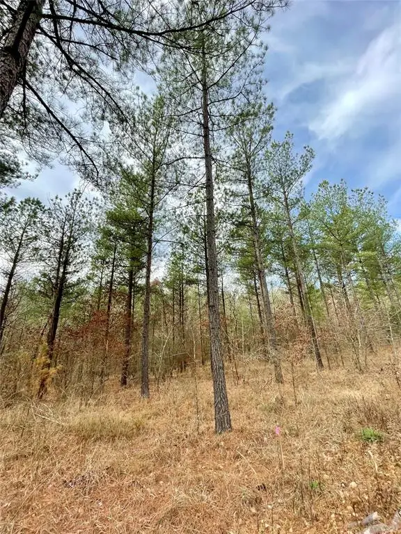 746 Timber Creek Trails South Xi, Broken Bow, OK 74728 - Image #2