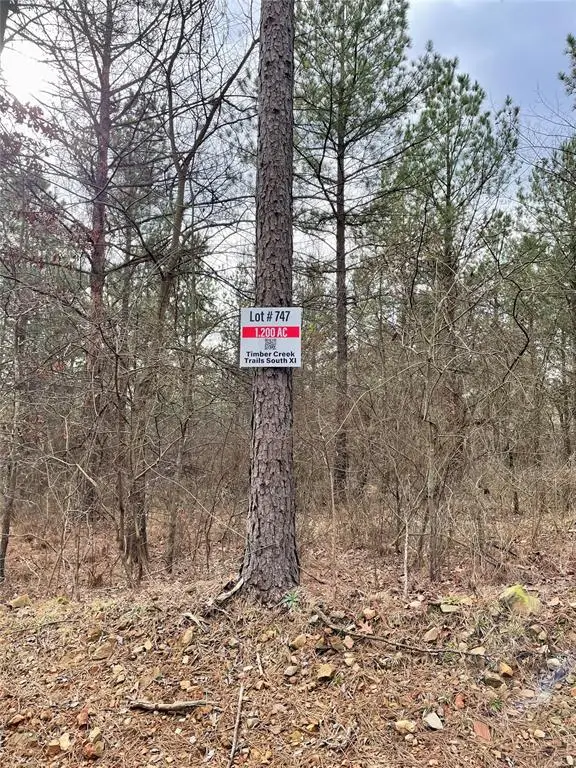 747 Timber Creek Trails South Xi, Broken Bow, OK 74728 - Image #2