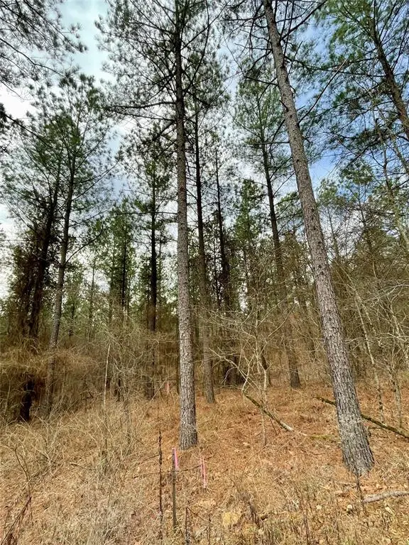 748 Timber Creek Trails South Xi, Broken Bow, OK 74728