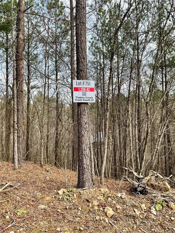 751 Timber Creek Trails South Xi, Broken Bow, OK 74728 - Image #3