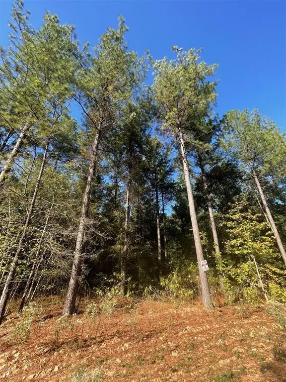 758 Timber Creek Trails South Xi, Broken Bow, OK 74728 - #2