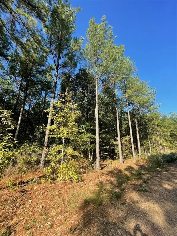 758 Timber Creek Trails South Xi, Broken Bow, OK 74728 - #3