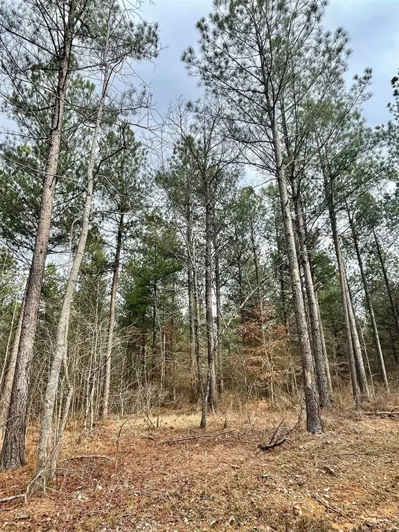 759 Timber Creek Trails South Xi, Broken Bow, OK 74728 - #2