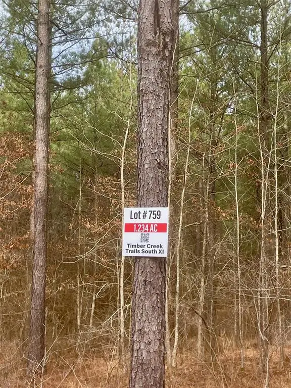 759 Timber Creek Trails South Xi, Broken Bow, OK 74728 - #3