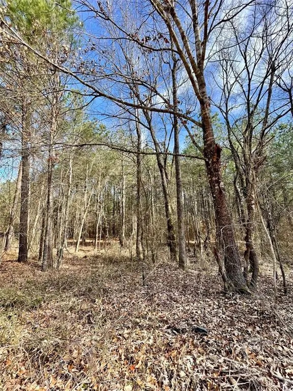 761 Timber Creek Trails South Xi, Broken Bow, OK 74728 - #3