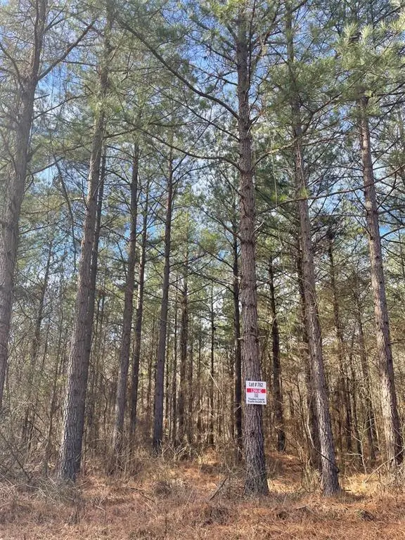 762 Timber Creek Trails South Xi, Broken Bow, OK 74728 - #3