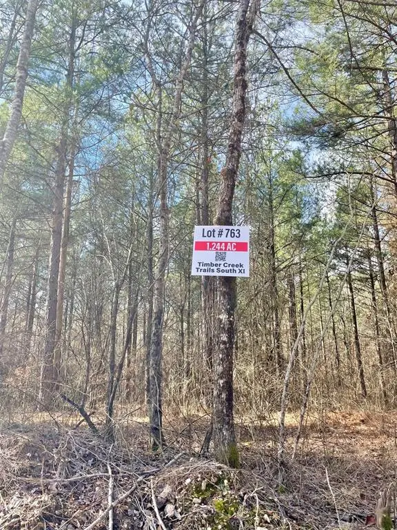 763 Timber Creek Trails South Xi, Broken Bow, OK 74728 - #2