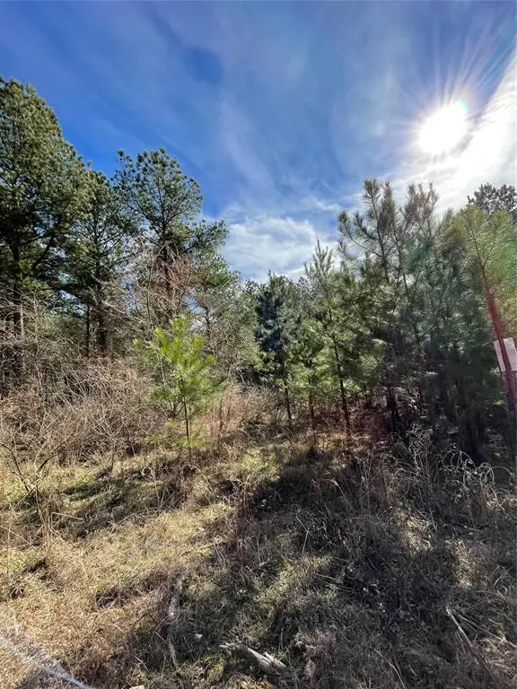 765 Timber Creek Trails South Xi, Broken Bow, OK 74728 - #3