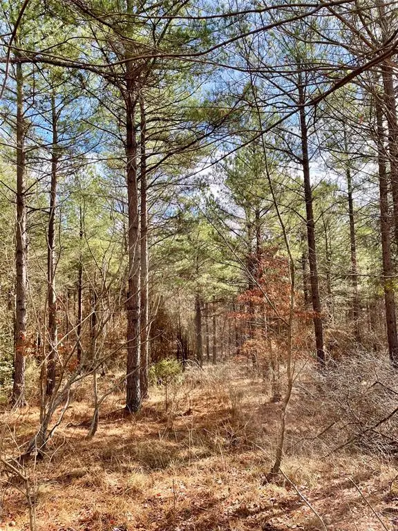 766 Timber Creek Trails South Xi, Broken Bow, OK 71842 - #3