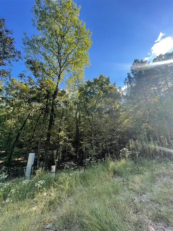 767 Timber Creek Trails South Xi, Broken Bow, OK 74728 - #3