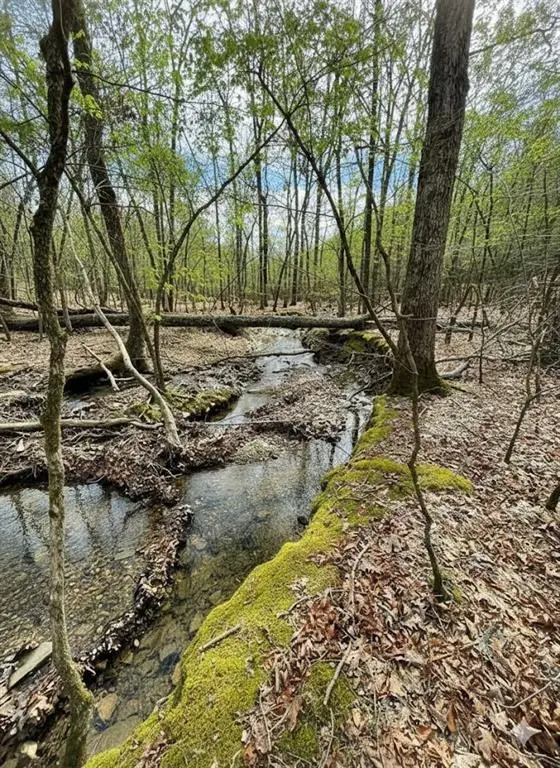 770 Timber Creek Trails South Xi, Broken Bow, OK 74728 - #2