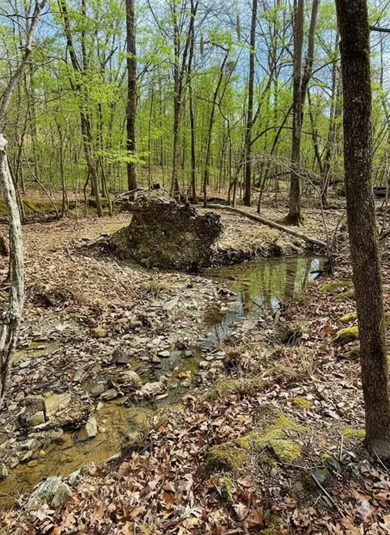 770 Timber Creek Trails South Xi, Broken Bow, OK 74728 - #3