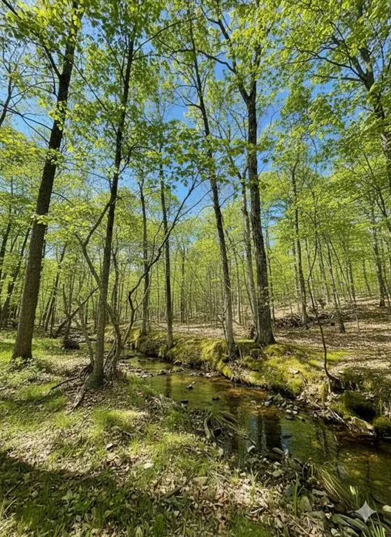 771 Timber Creek Trails South Xi, Broken Bow, OK 74728 - #3