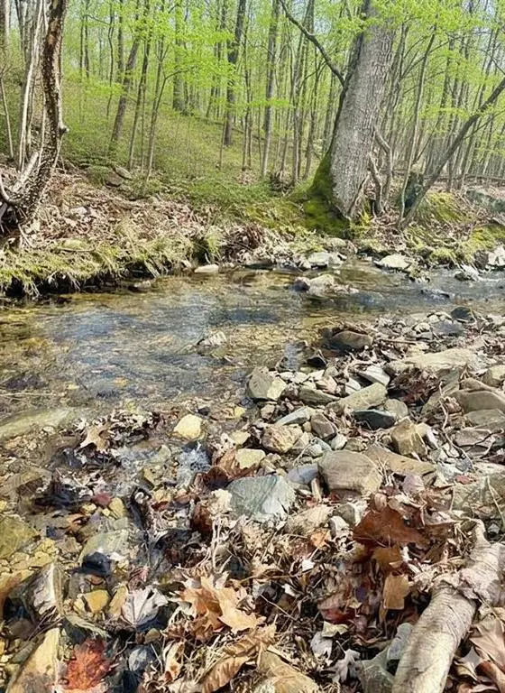 772 Timber Creek Trails South Xi, Broken Bow, OK 74728 - Image #2