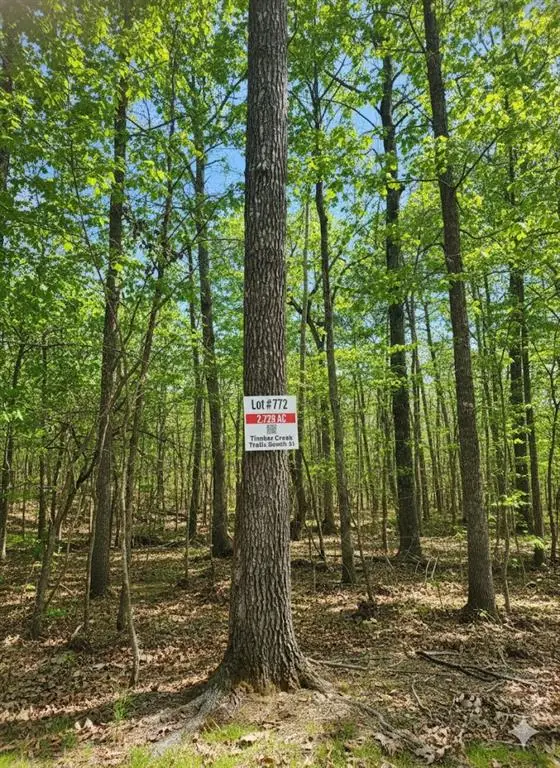 772 Timber Creek Trails South Xi, Broken Bow, OK 74728 - Image #3