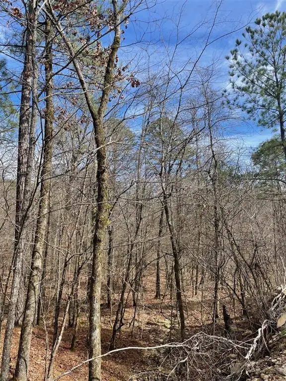 773 Timber Creek Trails South Xi, Broken Bow, OK 74728 - Image #3