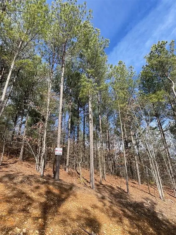 775 Timber Creek Trails South Xi, Broken Bow, OK 74728 - #3