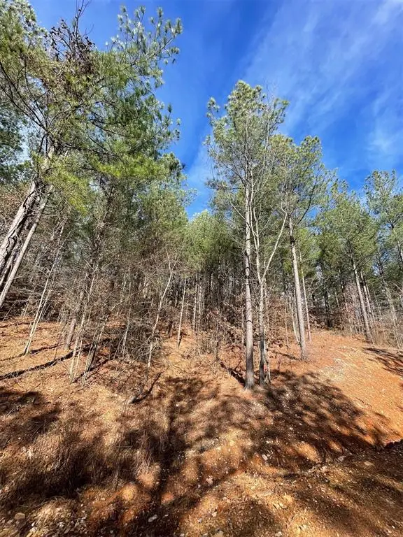 776 Timber Creek Trails South Xi, Broken Bow, OK 74728