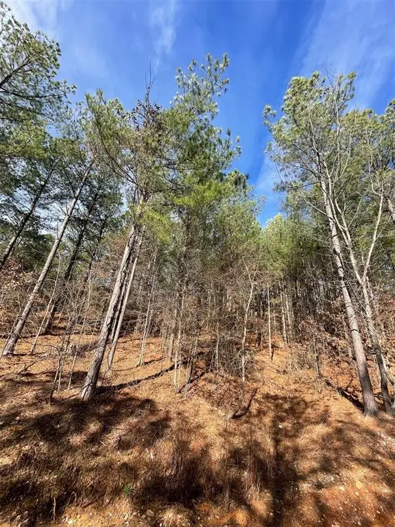 776 Timber Creek Trails South Xi, Broken Bow, OK 74728 - #3