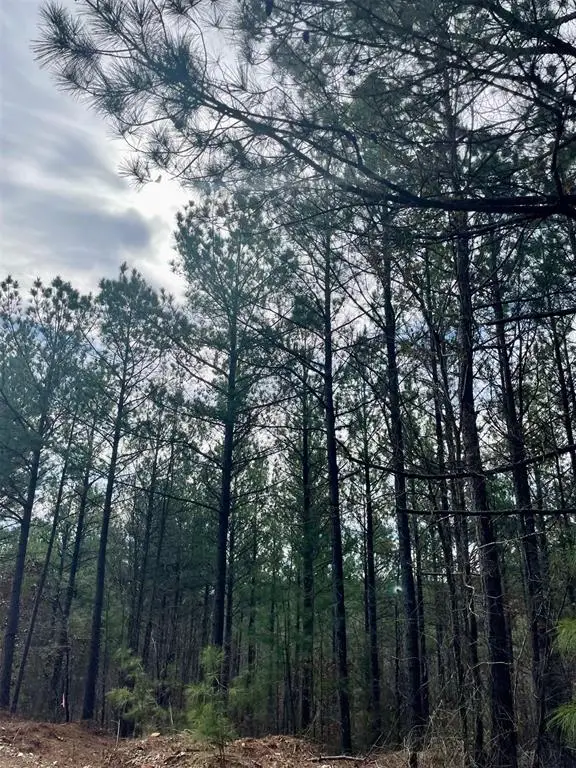 777 Timber Creek Trails South Xi, Broken Bow, OK 74728