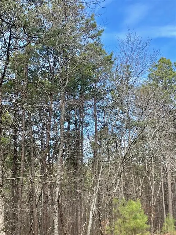 777 Timber Creek Trails South Xi, Broken Bow, OK 74728 - #2