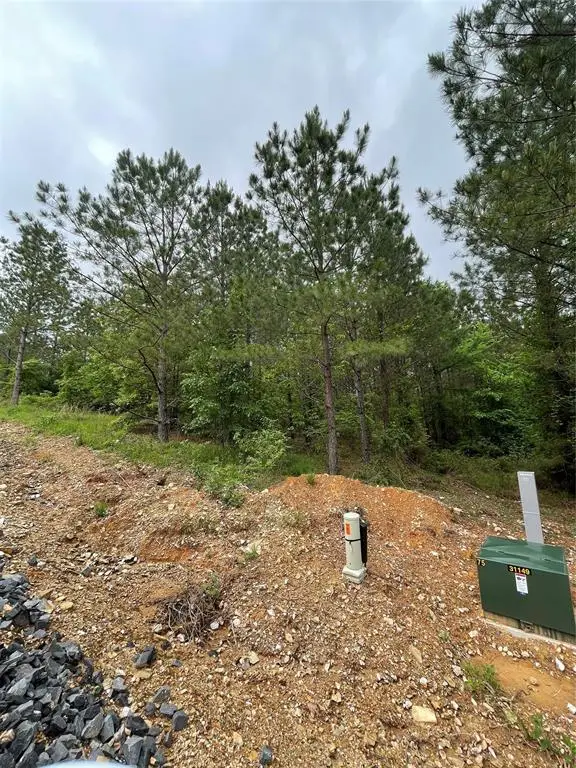 668 Timber Creek Trails South Xi, Broken Bow, OK 74728 - Image #2