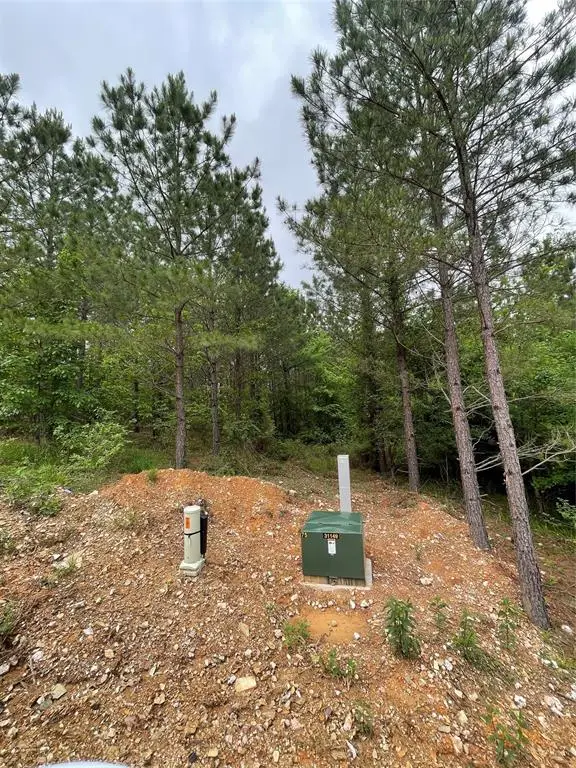 668 Timber Creek Trails South Xi, Broken Bow, OK 74728 - Image #3