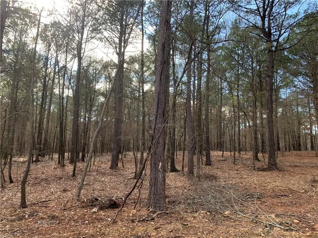 46 Lazy River Lane, Broken Bow, OK 74728 - Image #1