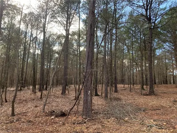 46 Lazy River Lane, Broken Bow, OK 74728