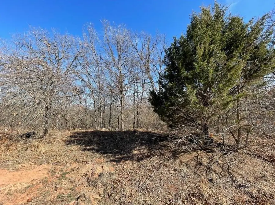 220 Jesse Street, Norman, OK 73071 - Image #3