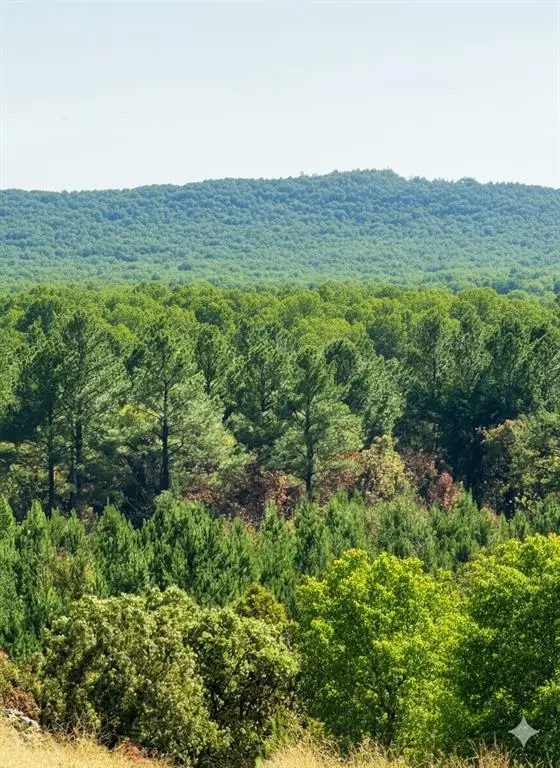 20 Charmed Ridge Lane, Broken Bow, OK 74728 - Image #1