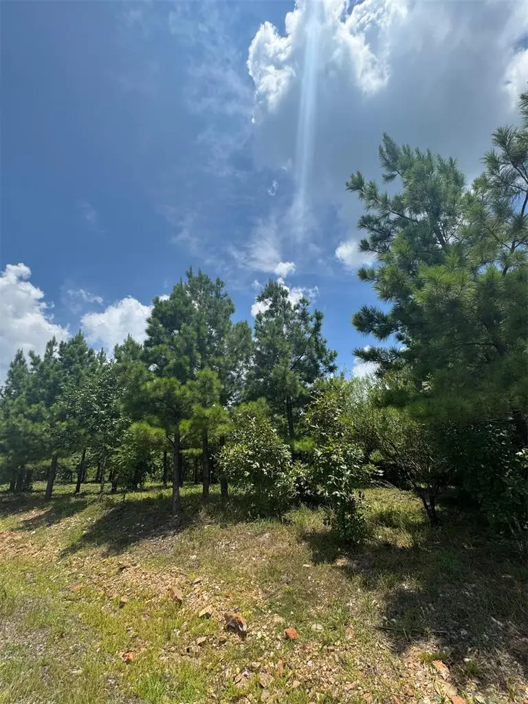 20 Charmed Ridge Lane, Broken Bow, OK 74728 - Image #3