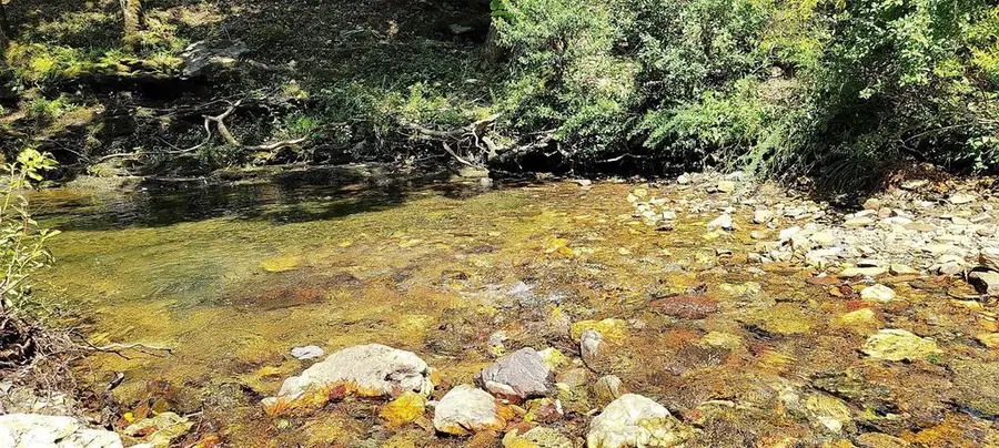 74 Creek Side Trail, Broken Bow, OK 74728 - Image #2