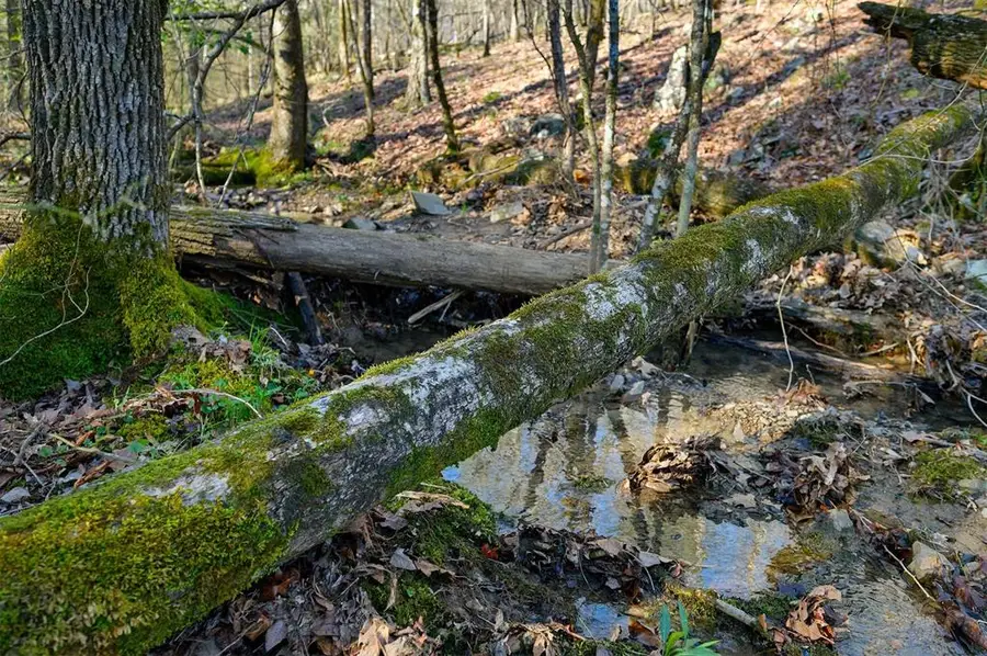 Hwy 4 Highway #15, Watson, OK 74963 - #3