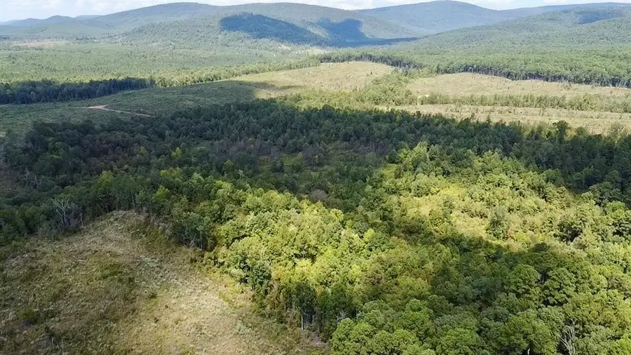 40 Zafra Road, Smithville, OK 74957 - #3