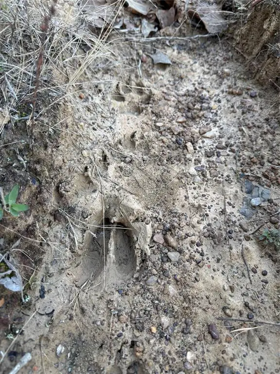 3647 Goodwater Road, Haworth, OK 74740 - Image #3