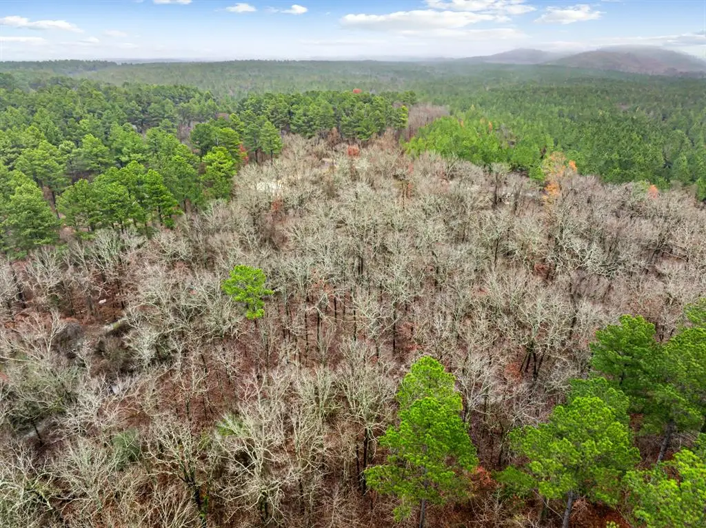 142 Alumaweld Lane, Broken Bow, OK 74728 - Image #1