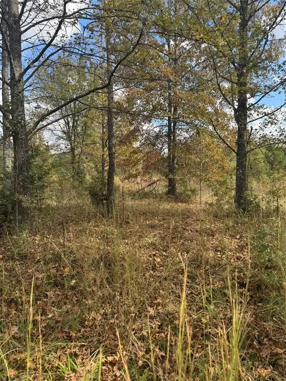 315 Rosebud Road, Broken Bow, OK 74728 - #3