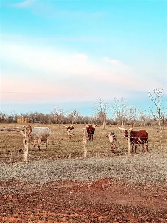 Vineyard Meadow Road, Norman, OK 73072 - Image #1