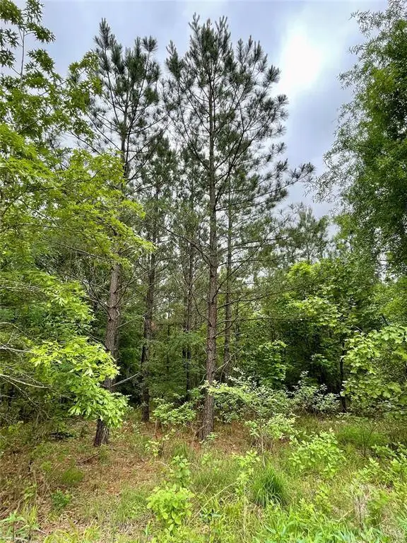 659 Timber Creek Trails South Xi, Broken Bow, OK 74728 - Image #2