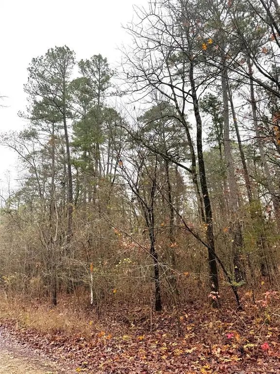 209 Timber Creek Trail, Broken Bow, OK 74728 - Image #3